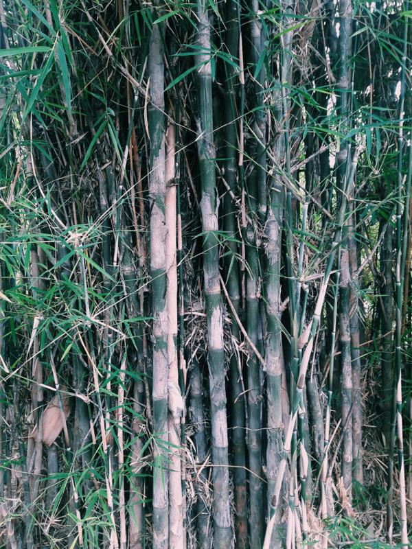 samsung SM-A710F Processed with VSCO with c1 preset