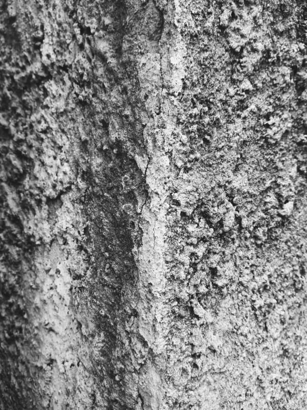 samsung SM-A710F Processed with VSCO with b5 preset