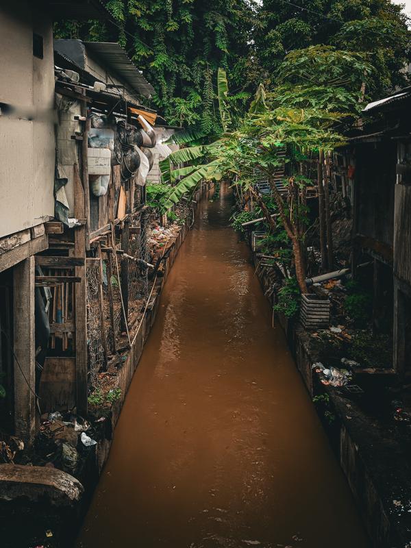 INFINIX Infinix X6815D 