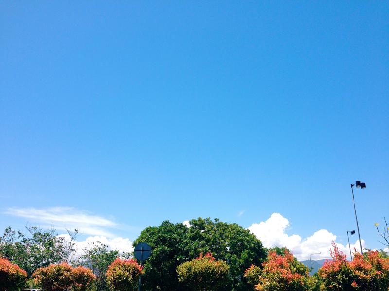 Apple iPhone 5 Processed with VSCOcam with c3 preset